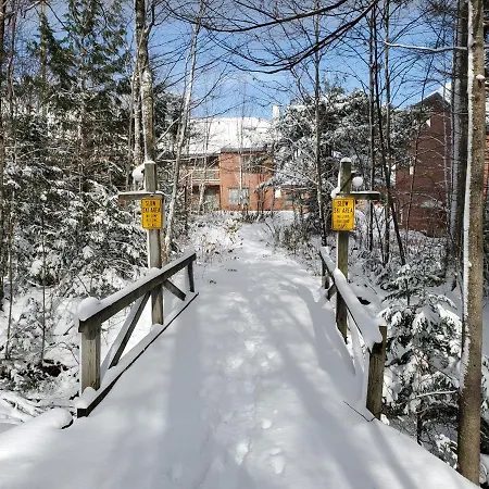 Trail Creek: Walk To Lifts, Ski Home! Closest Unit To Lifts, Ski Home Trail, Sports Center Killington Exterior photo