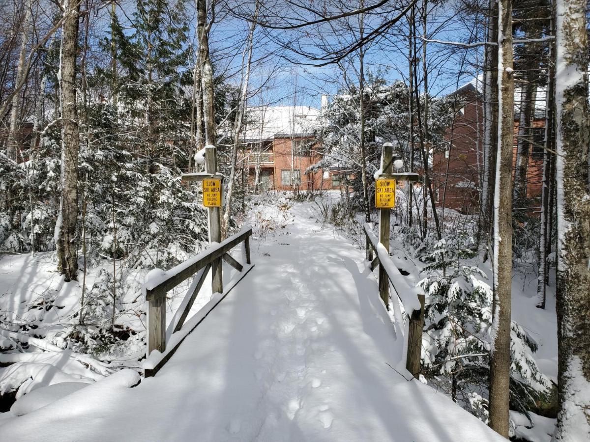 Trail Creek: Walk To Lifts, Home! Closest Unit To Lifts, Trail, Sports Center * Killington